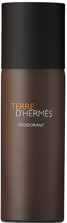 Hermes Terre d'Hermes - Deospray — Foto N1