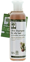 Düfte, Parfümerie und Kosmetik Shampoo mit Dicamelis und roten Weintrauben - BIOselect Olive Shampoo For Oily Hair