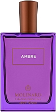 Düfte, Parfümerie und Kosmetik Molinard Ambre - Eau de Parfum