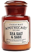 Duftkerze im Glas - Paddywax Apothecary Artisan Made Soywax Candle Sea Salt & Sage — Bild N1