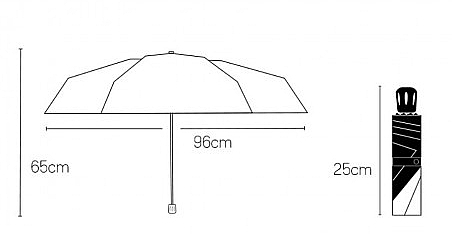 Automatischer Regenschirm PAR12SZ grau - Ecarla — Bild N1