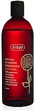 Shampoo für coloriertes Haar mit Sonnenblume - Ziaja Shampoo  — Bild N1