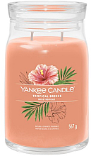 Düfte, Parfümerie und Kosmetik Duftkerze im Glas Tropical Breeze mit 2 Dochten - Yankee Candle Singnature