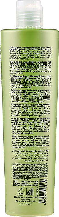 Regulierendes Shampoo gegen fettige Haare und Kopfhaut - Inebrya Ice Cream Balance Shampoo — Bild N5