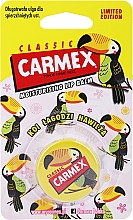 Düfte, Parfümerie und Kosmetik Pflegender Lippenbalsam im Glas - Carmex Classic Lip Balm Medicated Limited Edition