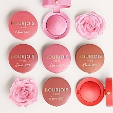 Gesichtsrouge - Bourjois Little Round Pot Blusher — Bild N11