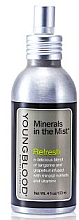 Düfte, Parfümerie und Kosmetik Mineralisches erfrischendes Gesichtsspray - Youngblood Minerals In The Mist Refresh