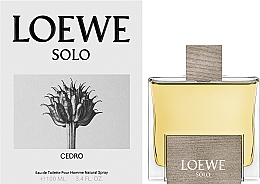 Loewe Solo Loewe Cedro - Eau de Toilette — Bild N2