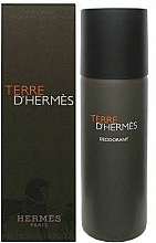 Hermes Terre d'Hermes - Deospray — Bild N2
