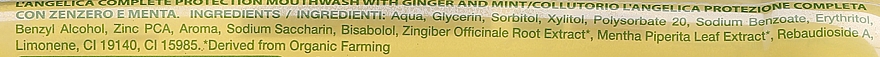 Mundspülung Ingwer und Minze - L'Angelica Herbal Mouthwash Complete Protection Ginger & Mint — Bild N3