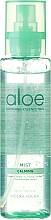 Gesichtsemulsion mit Aloe Vera Extrakt - Holika Holika Aloe Soothing Essence 90% Mist — Bild N1