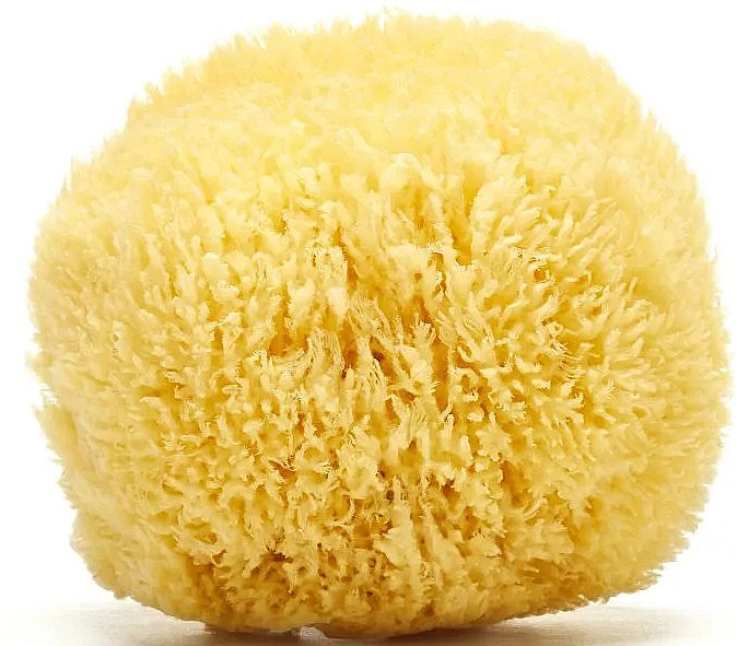 Natürlicher Meeresschwamm 11.5 cm - Hydrea London Grass Sea Sponge Caribbean Origin — Bild N2