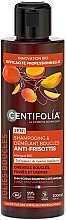 Shampoo für krauses und widerspenstiges Haar - Centifolia Anti-Frizz Curls Shampoo & Detangler Curly and Frizzy Hair — Bild N1