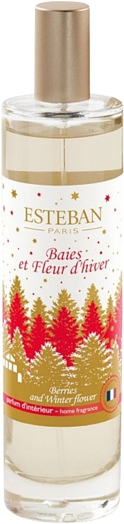 Esteban Berries And Winter Flower - Parfümiertes Spray für zu Hause — Bild N1