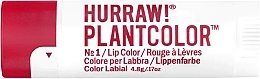 Düfte, Parfümerie und Kosmetik Lippenbalsam - Hurraw! Plantcolor Lip Balm