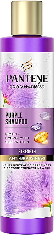 Shampoo für blondiertes Haar - Pantene Pro-V Miracles Purple Shampoo — Bild N1