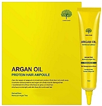 Haarserum mit Arganöl - Char Char Argan Oil Protein Hair Ampoule — Bild N3