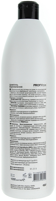 Regenerierendes Shampoo für strapaziertes Haar - Profi style — Bild N3