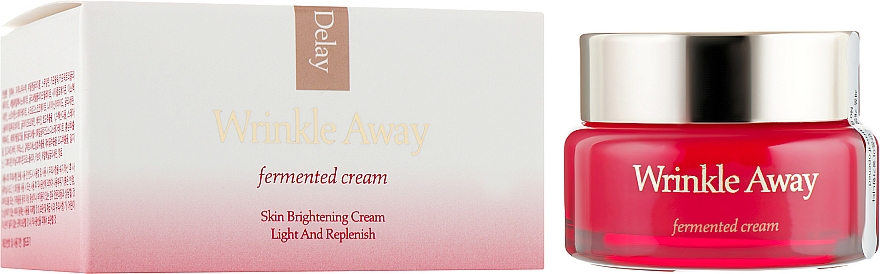Aufhellende Creme gegen Falten für Damen - The Skin House Wrinkle Away Fermented Cream — Bild N1