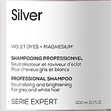 Farbauffrischendes Shampoo für blondes und graues Haar - L'Oreal Professionnel Serie Expert Magnesium Silver Shampoo — Foto N3