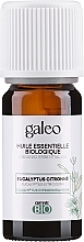 Düfte, Parfümerie und Kosmetik Organisches ätherisches Öl Zitrone - Galeo Organic Essential Oil Eucalyptus Citriodora