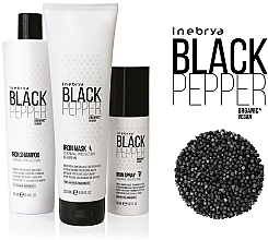 Hitzeschutz-Haarspray mit schwarzem Pfeffer - Inebrya Balck Pepper Iron Spray — Bild N2