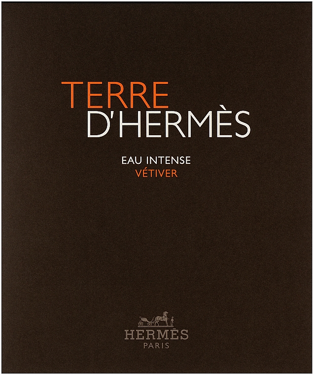 Terre D'Hermes Eau Intense Vetiver - Duftset (Eau de Parfum 100ml + Duschgel 80ml) — Bild N1
