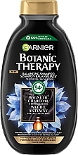 Haarshampoo mit Aktivkohle und Schwarzkümmelöl - Garnier Botanic Therapy Balancing Shampoo — Bild N1