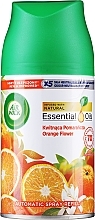Düfte, Parfümerie und Kosmetik Nachfüller Citrus für automatischen Lufterfrischer - Air Wick Freshmatic Max Citrus (Refill)