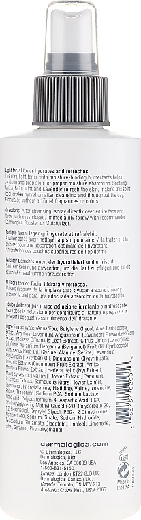 Feuchtigkeitsspendendes Gesichtstonikum-Spray mit Minze und Aloe Vera - Dermalogica Multi-Active Toner — Bild N5