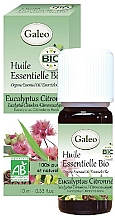 Düfte, Parfümerie und Kosmetik Organisches ätherisches Öl Zitrone - Galeo Organic Essential Oil Eucalyptus Citriodora