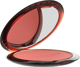 Kompaktes Gesichtsrouge - Guerlain Terracotta Blush Powder — Bild N3