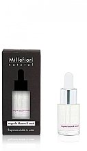 Düfte, Parfümerie und Kosmetik Konzentrat für Aromalampe - Millefiori Milano Magnolia Blossom & Wood Fragrance Oil