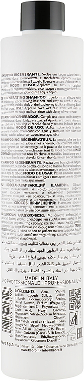 Regenerierendes Shampoo mit Knoblauch - KayPro All’Aglio Garlic Ajo Shampoo — Bild N2