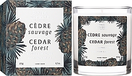 Duftkerze im Glas Zedernwald - Panier Des Sens Scented Candle Cedar Forest — Bild N2