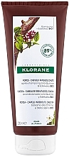 Haarspülung mit Edelweiß - Klorane Strength Tired Hair & Fall Conditioner With Quinine And Edelweiss Organic — Bild N1