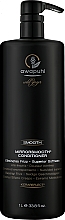 Glättende und weichmachende Haarspülung - Paul Mitchell Awapuhi Wild Ginger Mirrorsmooth Conditioner — Bild N3