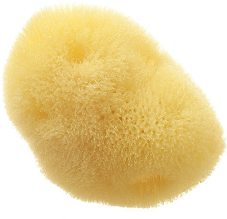 Natürlicher Meeresschwamm Fina Silk Sea Sponge 7.6 cm - Hydrea London Mediterranean Origin — Bild N1