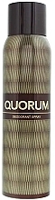Düfte, Parfümerie und Kosmetik Antonio Puig Quorum - Deodorant Antitranspirant