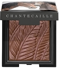 Düfte, Parfümerie und Kosmetik Lidschatten - Chantecaille Matte Eye Shade Wild Mustang Collection