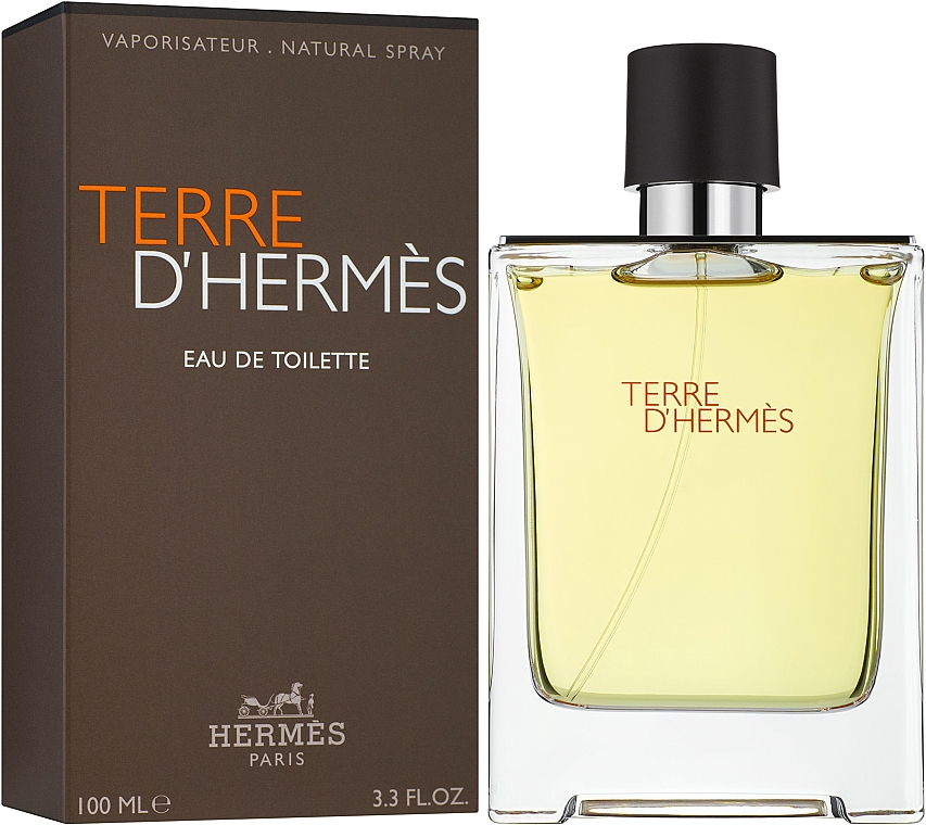 Hermes Terre D'Hermes - Eau de Toilette  — Bild N2