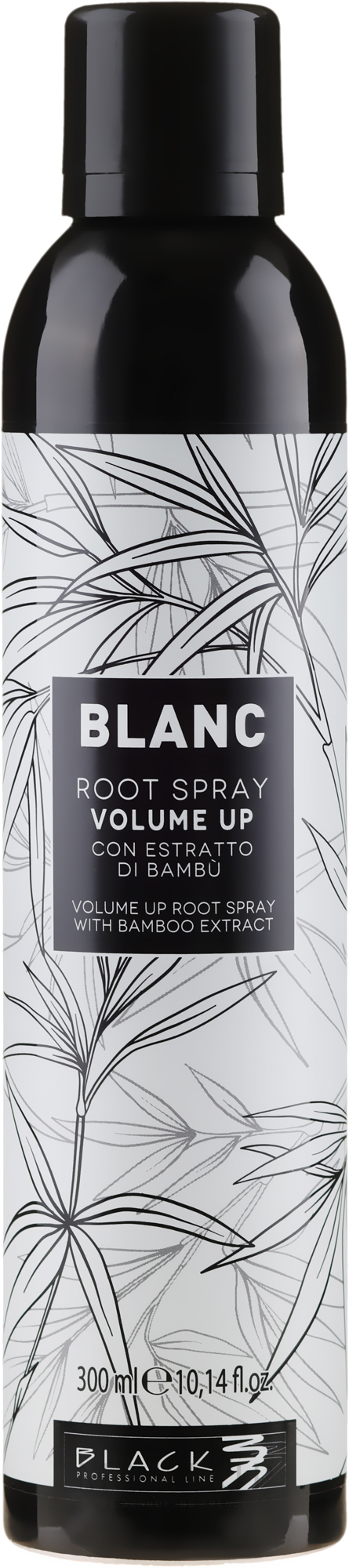 Volumen-Haarspray mit Bambusextrakt - Black Professional Line Blanc Volume Up Root Spray — Foto 300 ml