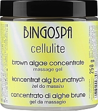 Straffende Körpermassagecreme mit Braunalgen und Coenzym Q10 - BingoSpa Concentrate Brown Algae — Bild N1