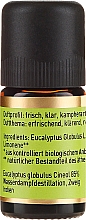 Raumduft Eukalyptus bei Erkältungsbeschwerden - Primavera Natural Essential Oil Eucalyptus  — Bild N2