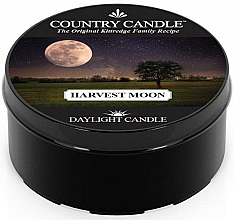 Düfte, Parfümerie und Kosmetik Duftkerze Harvest Moon - Country Candle Harvest Moon Daylight