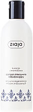 Intensiv regenerierendes Shampoo mit Ceramiden - Ziaja Shampoo  — Bild N1