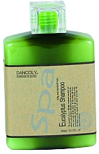 Shampoo gegen Schuppen mit Eukalyptusextrakt - Dancoly Eycalyptus Shampoo Oily And Dandruff Hair — Bild N1