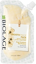 Düfte, Parfümerie und Kosmetik Glättende Haarmaske mit Kamelien- und Rizinusöl - Biolage Smoothproof Pack For Frizzy Hair