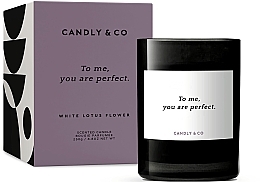 Düfte, Parfümerie und Kosmetik Duftkerze - Candly&Co No.8 To Me, You Are Perfect. Scented Candle