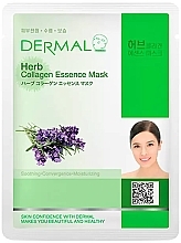 Tuchmaske mit Kollagen und Kräutern - Dermal Herb Collagen Essence Mask  — Bild N1